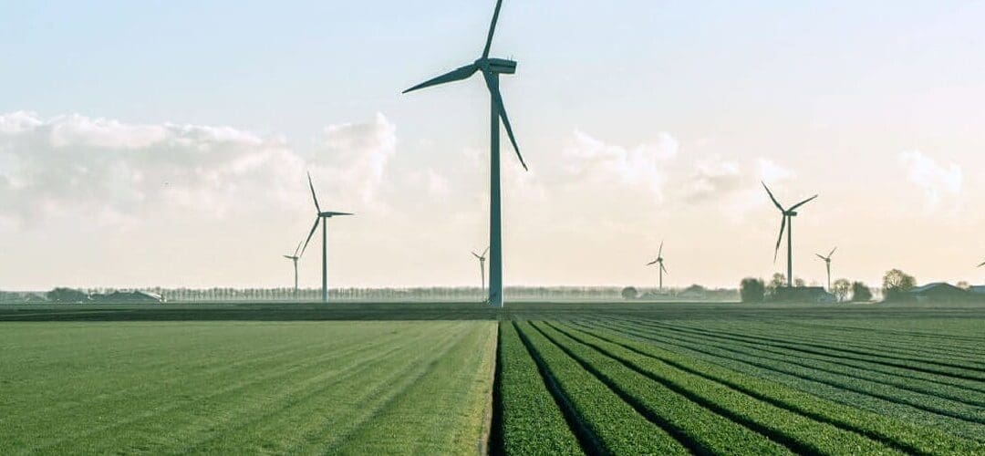Going Green in a Digital World