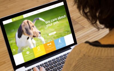 Why Website Visitors Don’t Enquire (And What They’re Really Doing Instead)
